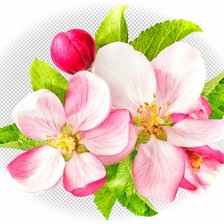 Cross stitch pattern: #1462557