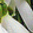 Preview of cross stitch pattern: #1472185