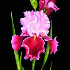 Cross stitch pattern: #1473267