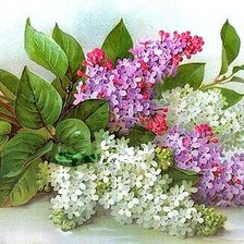 Cross stitch pattern: #1476266