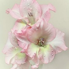 Cross stitch pattern: #1476790