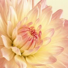 Cross stitch pattern: #1477217