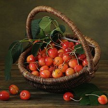 Cross stitch pattern: #1478370