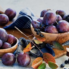 Cross stitch pattern: #1478374