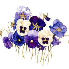 Cross stitch pattern: #1480214