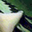 Preview of cross stitch pattern: #1484568