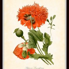 Cross stitch pattern: #1485598