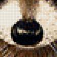 Preview of cross stitch pattern: #1485815