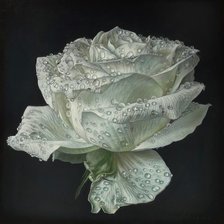 Cross stitch pattern: #1488527