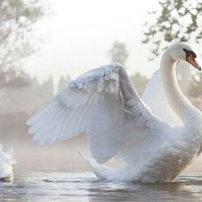 Cross stitch pattern: #1492021