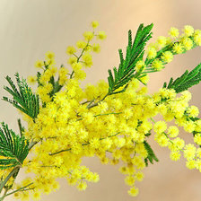 Cross stitch pattern: #1493455