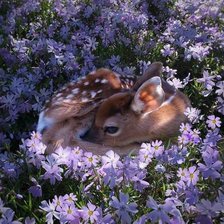 Cross stitch pattern: #1493587