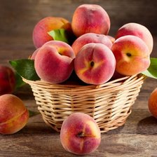 Cross stitch pattern: #1494281