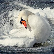 Cross stitch pattern: #1495807