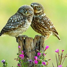 Cross stitch pattern: #1497355