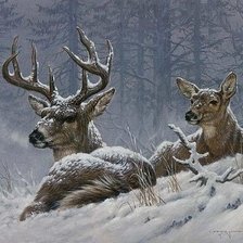 Cross stitch pattern: #1499035
