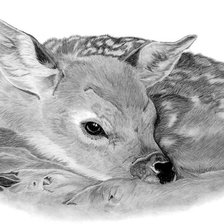 Cross stitch pattern: #1508477