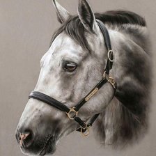 Cross stitch pattern: #1508714