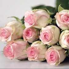 Cross stitch pattern: #1510222