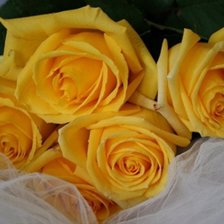 Cross stitch pattern: #1510227