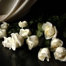 Cross stitch pattern: #1510229