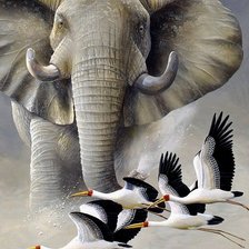 Cross stitch pattern: #1511790