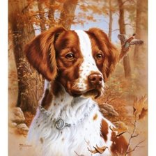 Cross stitch pattern: #1523715