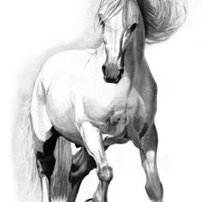 Cross stitch pattern: #1523908