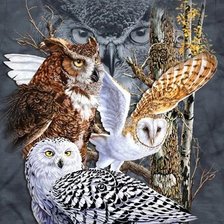 Cross stitch pattern: #1525738