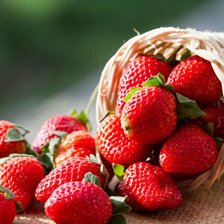Cross stitch pattern: #1533936
