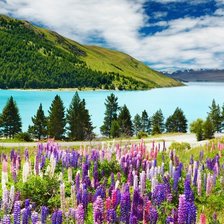 Cross stitch pattern: #1533938