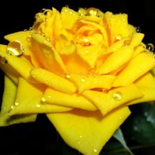 Cross stitch pattern: #1534489