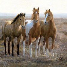 Cross stitch pattern: #1535200