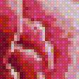 Preview of cross stitch pattern: #1535635