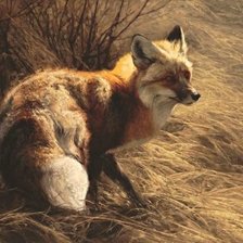 Cross stitch pattern: #1542878