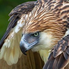 Cross stitch pattern: #1544400