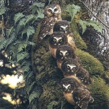 Cross stitch pattern: #1546659