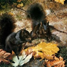 Cross stitch pattern: #1546662