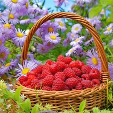 Cross stitch pattern: #1547200