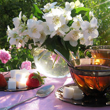 Cross stitch pattern: #1547211