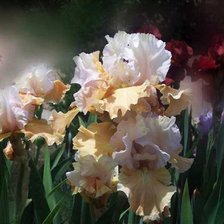 Cross stitch pattern: #1547448