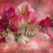 Cross stitch pattern: #1547459