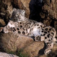 Cross stitch pattern: #1548354