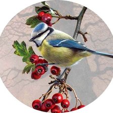 Cross stitch pattern: #1549760