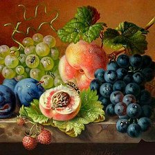 Cross stitch pattern: #1557911