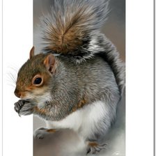 Cross stitch pattern: #1559597
