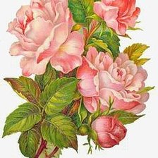 Cross stitch pattern: #1560605