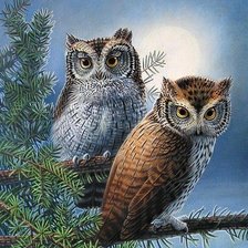 Cross stitch pattern: #1561447