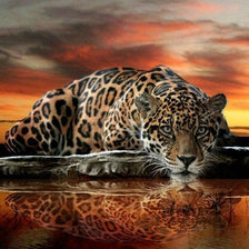Cross stitch pattern: #1566589