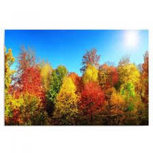 Cross stitch pattern: #1566592
